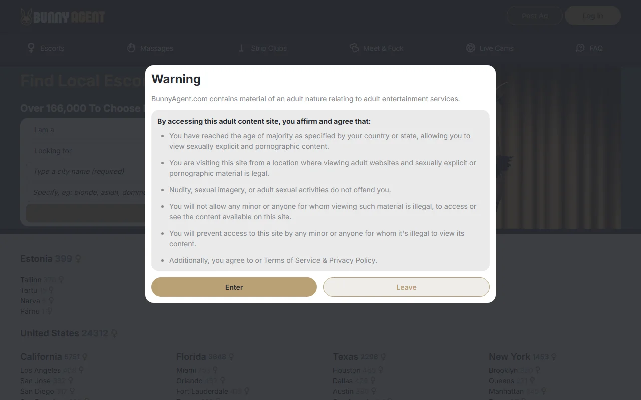 Screenshot of Bunnyagent